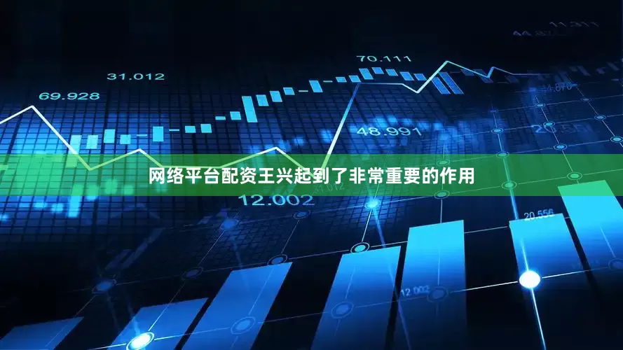 网络平台配资王兴起到了非常重要的作用