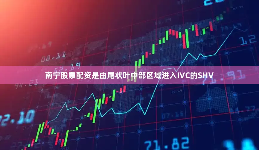 南宁股票配资是由尾状叶中部区域进入IVC的SHV